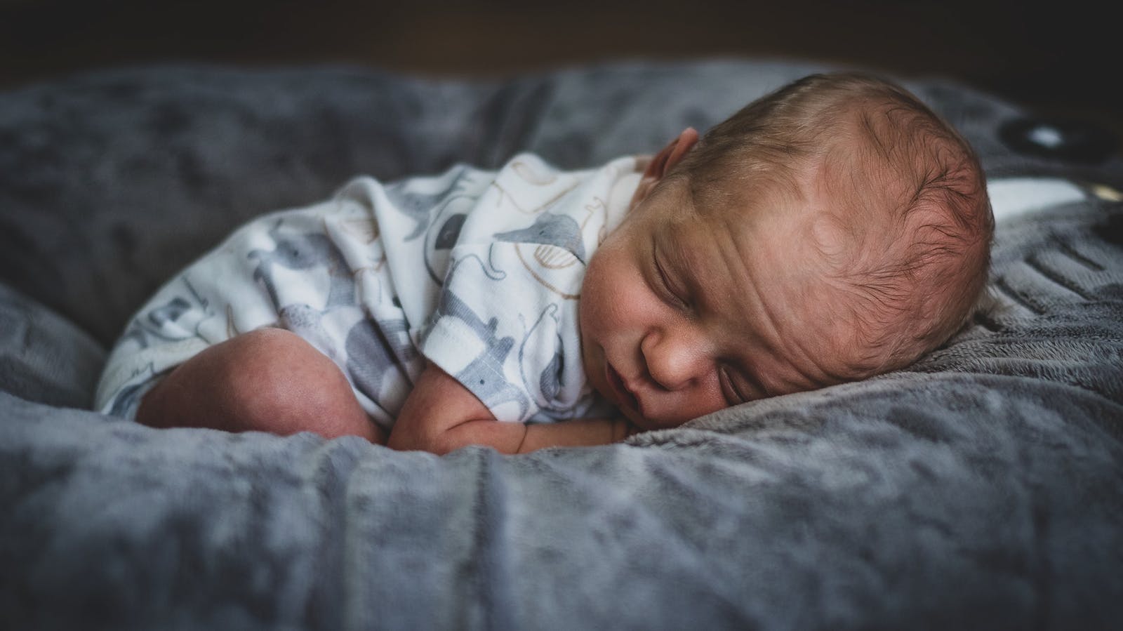 Asher at one month. Photo by Toby Hagan